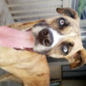 Meet your Posher, Hayley